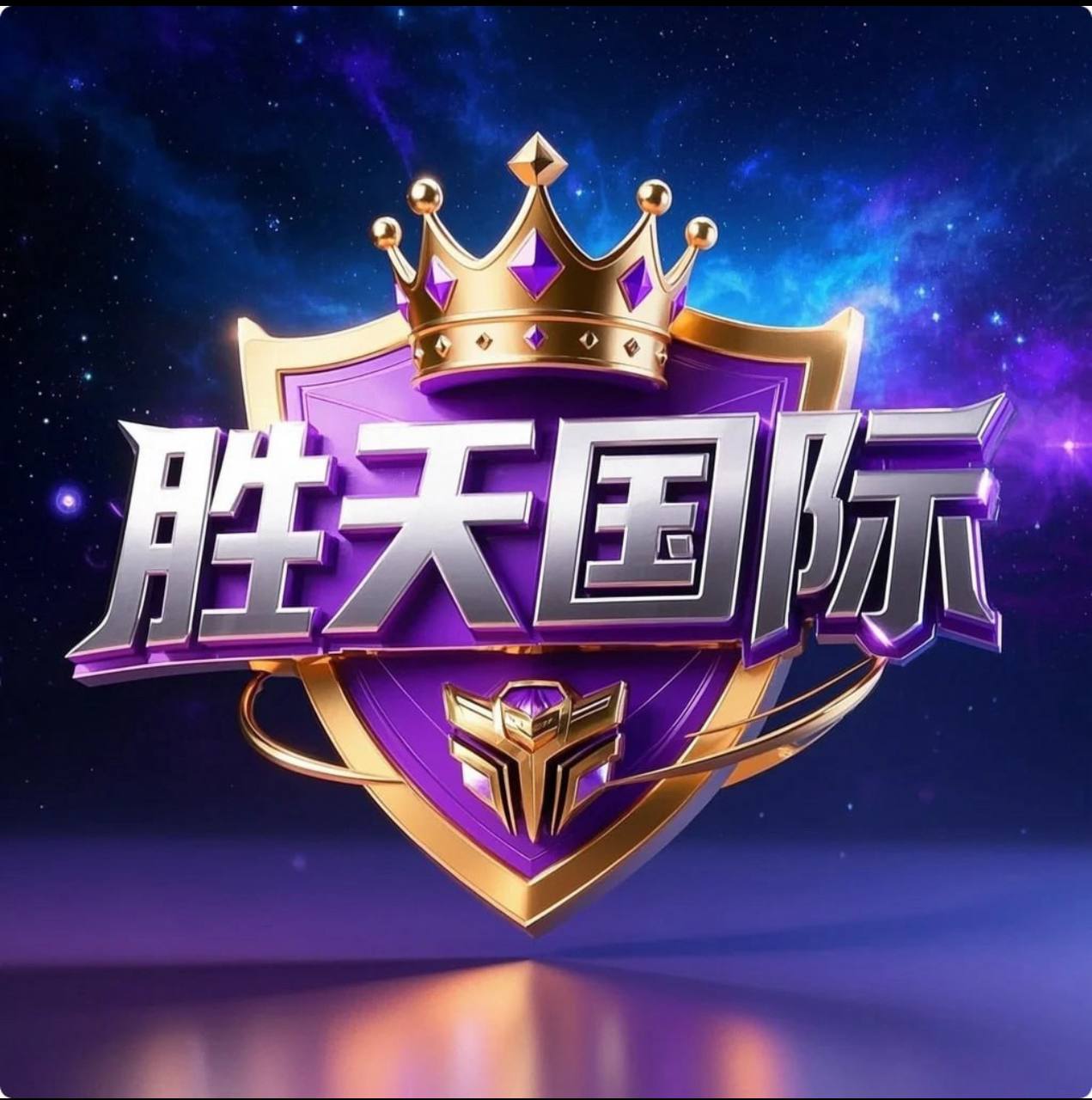 胜天国际内排招商